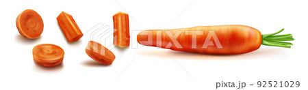 Carrot with green leaves vector isolated 92521029