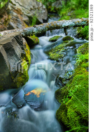 Beautiful close-up of small river through mossy rocks and colorful log Beautiful close-up of small river through mossy rocks and colorful log 92521369