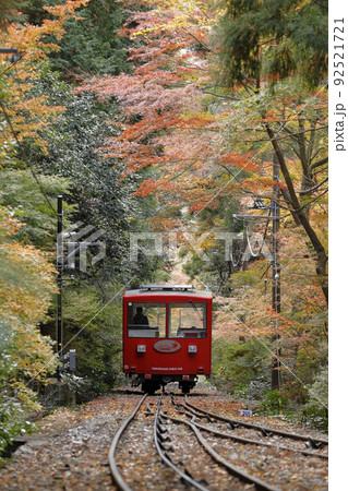 秋の紅葉トンネルを行く赤い筑波山ケーブルカー 92521721