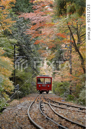 秋の紅葉トンネルを行く赤い筑波山ケーブルカー 92521723
