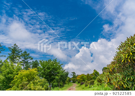 (長野県)富士見高原リゾート・創造の森 遊歩道 (長野県)富士見高原リゾート・創造の森 遊歩道 92522585