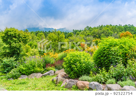 （長野県）富士見高原リゾート・創造の森　お花畑 92522754