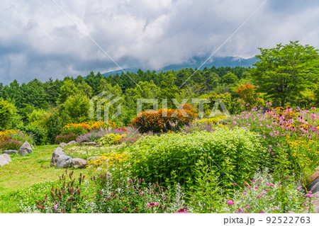 （長野県）富士見高原リゾート・創造の森　お花畑 92522763