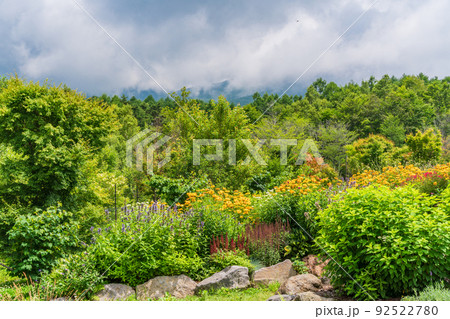 （長野県）富士見高原リゾート・創造の森　お花畑 92522780