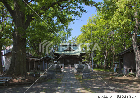 【川崎市】小杉神社 92523827