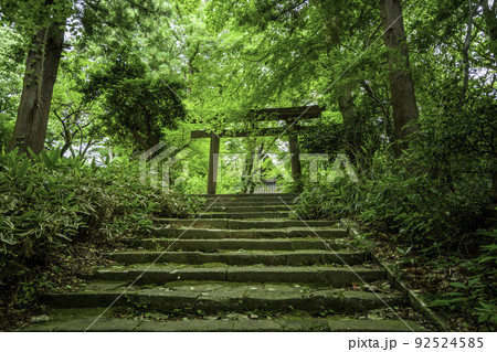 卯辰三社参道 鳥居 石川県金沢市 卯辰三社参道 鳥居 石川県金沢市 92524585
