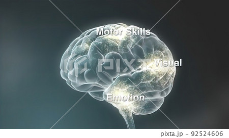 Dolly In Inside A 3D Human Head To A Brain With Neurons During Synapsis. Dolly In Inside A 3D Human Head To A Brain With Neurons During Synapsis. 92524606