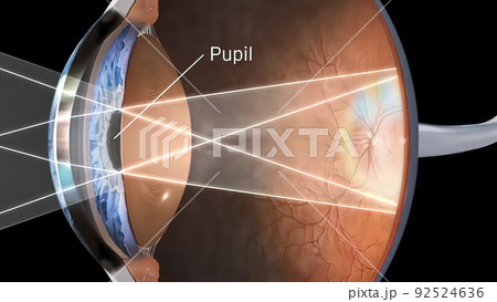 human eye vision structure human eye vision structure 92524636
