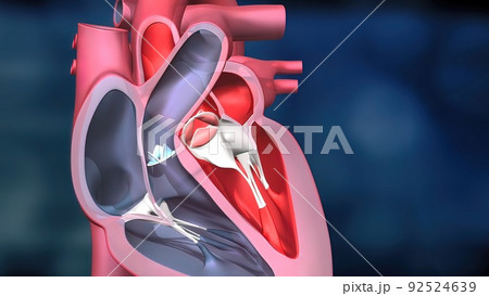 Heartwork system. Pumps Blood Through The Human Body Heartwork system. Pumps Blood Through The Human Body 92524639