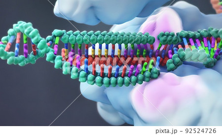 Mechanisms that induce or suppress the expression of a gene 92524726