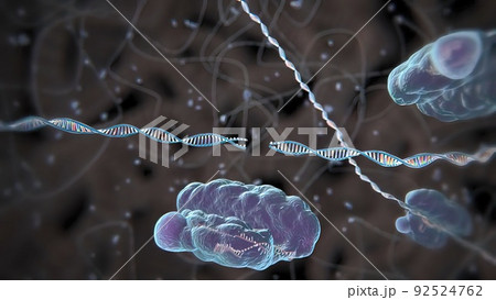 Mechanisms that induce or suppress the expression of a gene Mechanisms that induce or suppress the expression of a gene 92524762