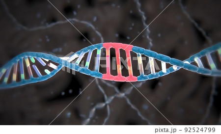 Mechanisms that induce or suppress the expression of a gene Mechanisms that induce or suppress the expression of a gene 92524799