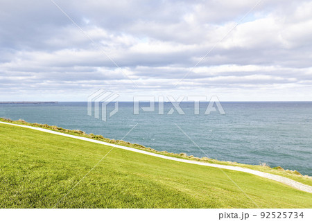 Views from a green meadow on the shore of a cargo ship sailing. Oil transport concept Views from a green meadow on the shore of a cargo ship sailing. Oil transport concept 92525734