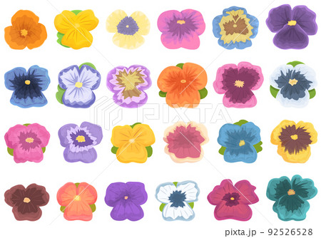 Pansy flower icons set cartoon vector. Floral blooms. Garden viola 92526528