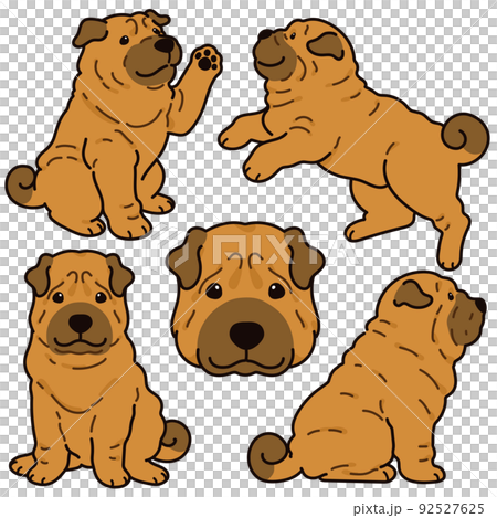 Simple and cute Shar Pei illustration set with main line Simple and cute Shar Pei illustration set with main line 92527625