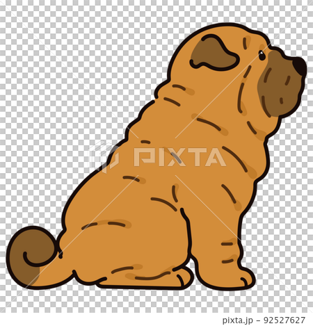 沙皮狗與主線側身坐著的簡單可愛插圖 92527627