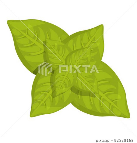 Mint icon cartoon vector. Leaf herb. Garden spice Mint icon cartoon vector. Leaf herb. Garden spice 92528168