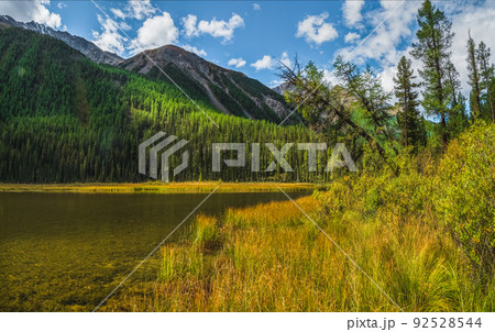 Picturesque mountain lake in the beautiful summer autumn day in Altai. Atmospheric alpine landscape with coniferous trees near turquoise mountain lake. 92528544