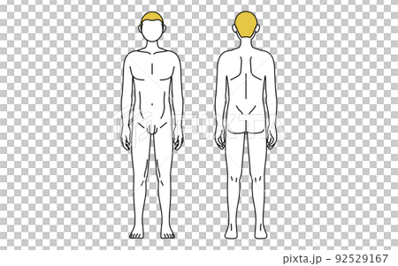 Simple line drawing, naked male figure seen... - Stock Illustration