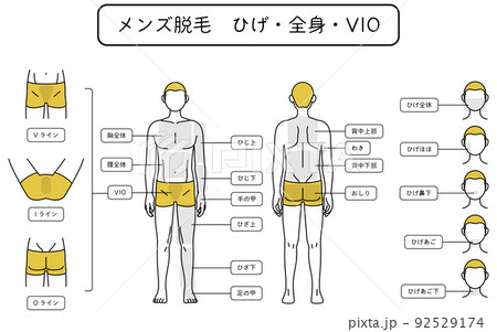 メンズ脱毛、ひげ・全身・VIOの部位案内、下着姿 92529174