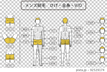 メンズ脱毛、ひげ・全身・VIOの部位案内、下着姿 92529174