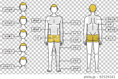 Men's hair removal, whole body (front and back) and facial part guidance, wearing underwear 92529181