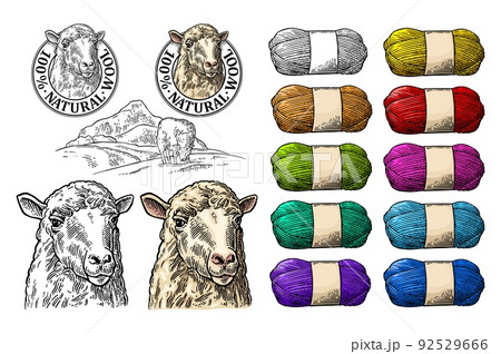 Sheep on meadow and yarn. Vintage vector engraving illustration 92529666