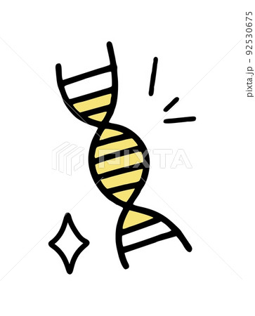 DNA diagram of the clipart doodle. Vector illustration in line style. 92530675