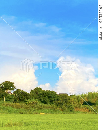 青空と田んぼ 92532102