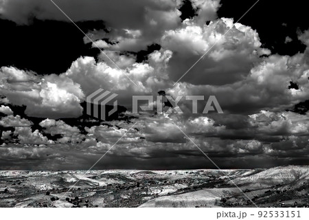 Petrified Forest Arizona 92533151