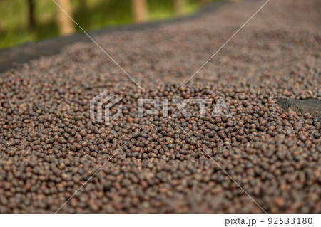 Large dried coffee beans on the table at farm Large dried coffee beans on the table at farm 92533180