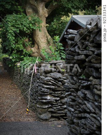 用心棒(ハブが出た時に叩く棒) 加計呂麻島 用心棒(ハブが出た時に叩く棒) 加計呂麻島 92533341