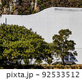 A rounded tree and equally rounded wall. A rounded tree and equally rounded wall. 92533512