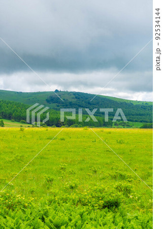 天空の湿原・夏の八島ヶ原湿原【長野県】 92534144