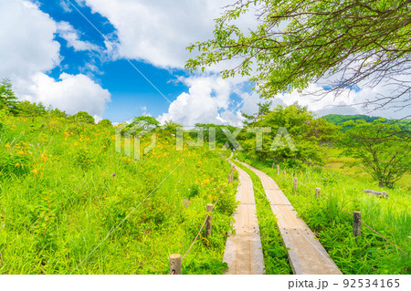 天空の湿原・夏の八島ヶ原湿原【長野県】 92534165