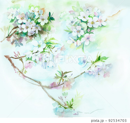 透明水彩 水彩画 花 92534703