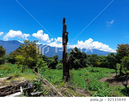 武陵農場 南山 山林 92535649