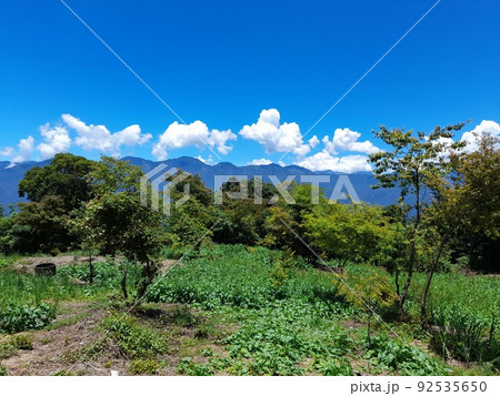 武陵農場 南山 山林 92535650