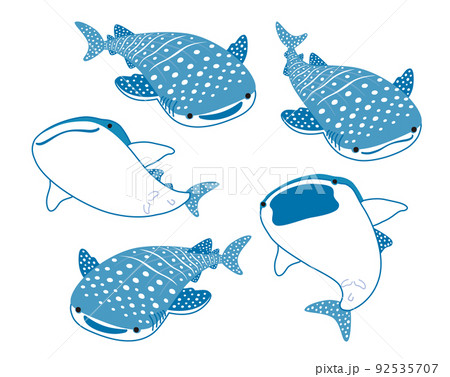 ジンベイザメのイラスト 92535707