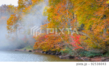 仙人池の紅葉（笹ヶ峰高原） 92536043