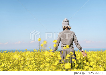rear view of an asian tourist taking a walk in canola flower field rear view of an asian tourist taking a walk in canola flower field 92536632