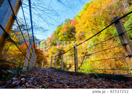 大柳川渓谷(秋):竜門橋 大柳川渓谷(秋):竜門橋 92537252