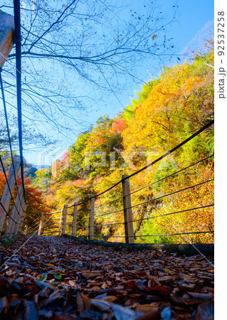 大柳川渓谷(秋):竜門橋 大柳川渓谷(秋):竜門橋 92537258