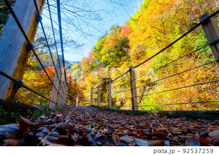 大柳川渓谷(秋):竜門橋 大柳川渓谷(秋):竜門橋 92537259