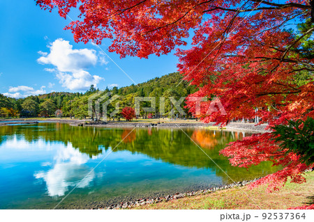 岩手県平泉町　紅葉の毛越寺　～大泉が池～ 92537364