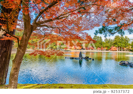 岩手県平泉町　紅葉の毛越寺　～大泉が池～ 92537372