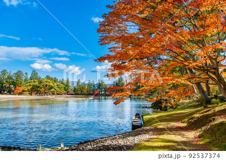 岩手県平泉町 紅葉の毛越寺 ~大泉が池~ 岩手県平泉町 紅葉の毛越寺 ~大泉が池~ 92537374