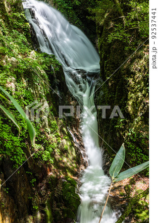 【福島県･背戸峨廊･トッカケの滝】澄んだ仙境の沢に個性的な滝や淵、瀞が連続　夏 92537441