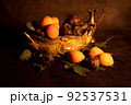 Image Decoration from fresh apricots and plums. Still life, Nature Morte in dramatically dark setting and background. 92537531