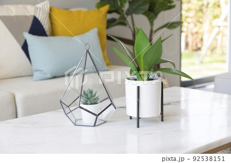 Simple, industrial interior design of living room with table standing in front of a gray sofa with yellow and blue cushions and a green plant Scandinavian interior. 92538151